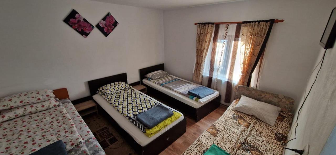 Novaci-Străini Pensiunea Casa Andreea المظهر الخارجي الصورة