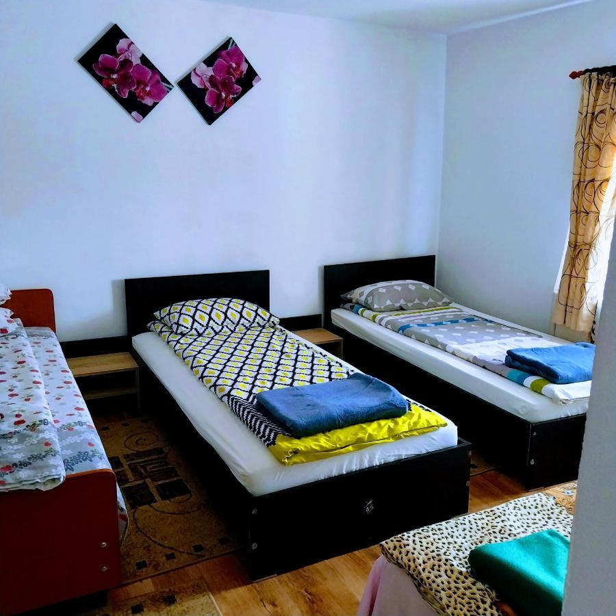 Novaci-Străini Pensiunea Casa Andreea المظهر الخارجي الصورة